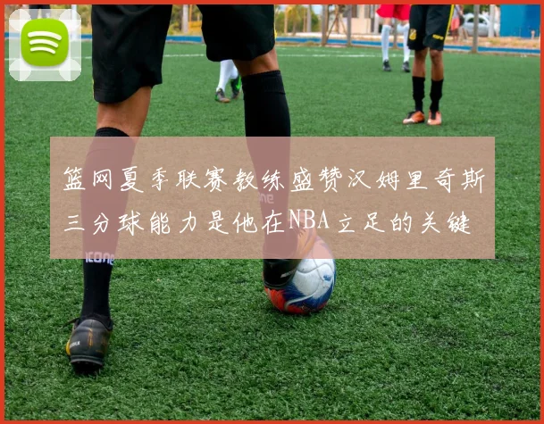 篮网夏季联赛教练盛赞汉姆里奇斯三分球能力是他在NBA立足的关键