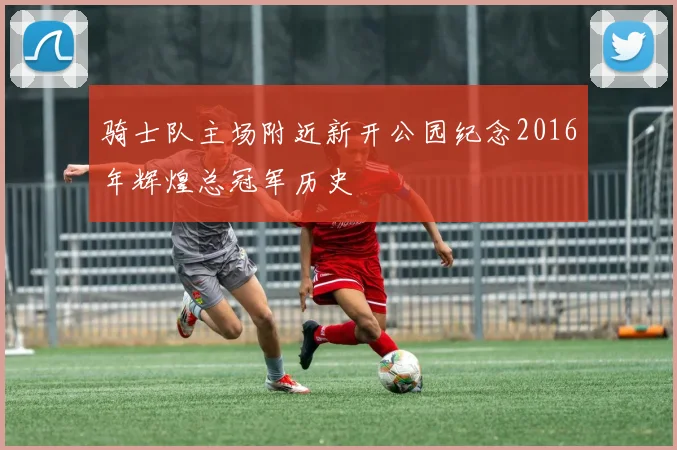 骑士队主场附近新开公园纪念2016年辉煌总冠军历史