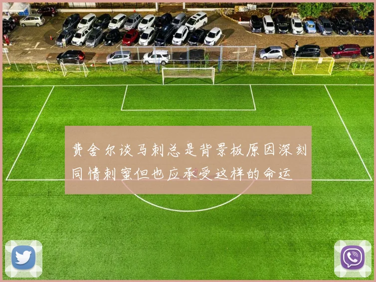 费舍尔谈马刺总是背景板原因深刻同情刺蜜但也应承受这样的命运