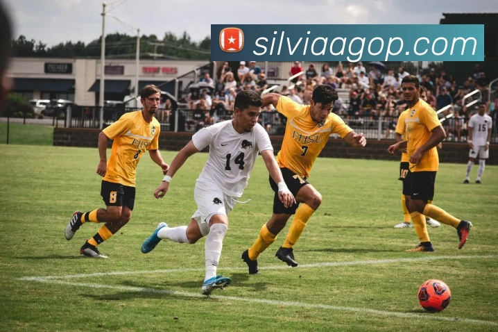 App功能展示图